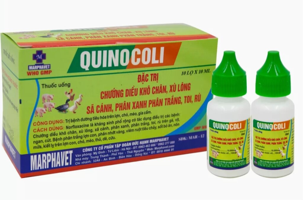Quinocoli combo 2 lọ qui cách 10ml chướng diều, khô chân, sã cánh, hen, khẹc cho vật nuôi