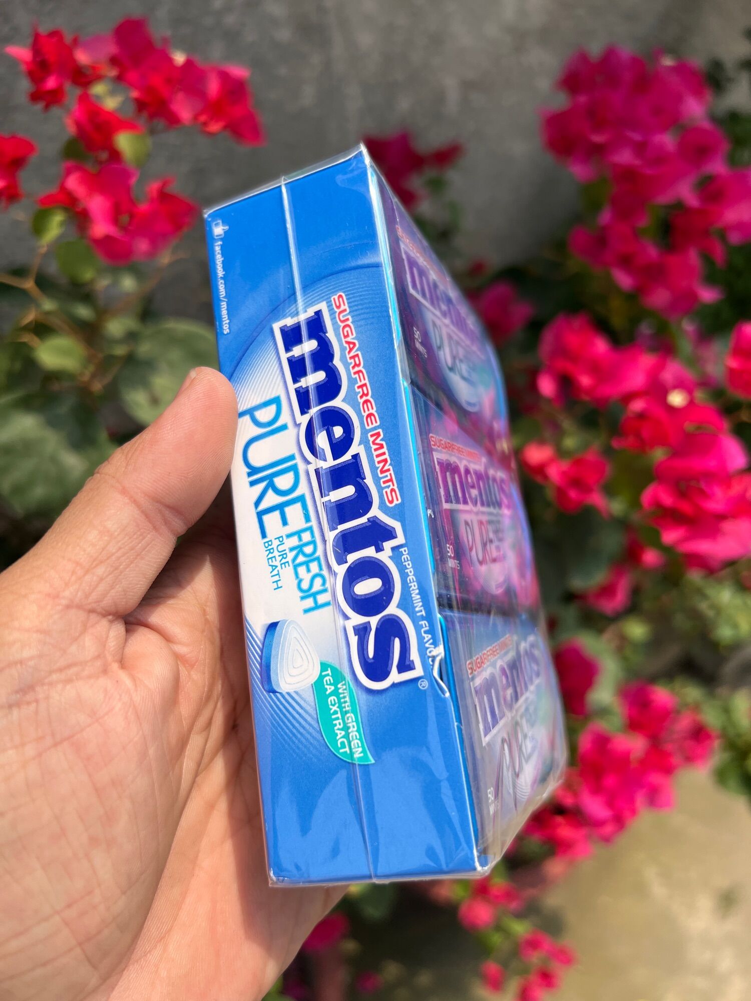Kẹo ngậm mentos 6 lọ×35g