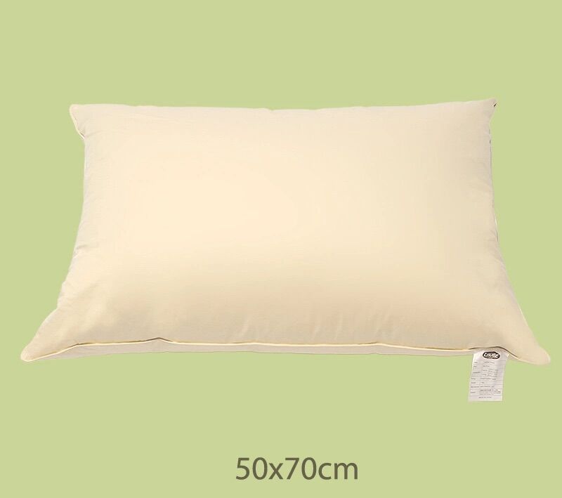 GỐI LÔNG NGỖNG - Gối nằm lông vũ Feather