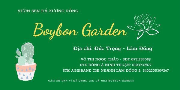 cây sen đá tay gấu lông nhiều móng