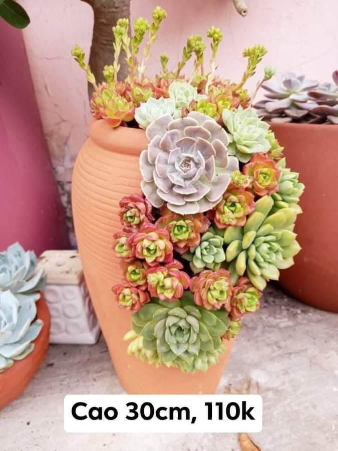 Chậu đất nung Bình Dương xẻ thân cao 30cm, miệng 13