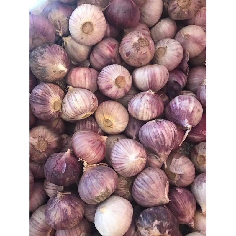 Tỏi cô đơn 1kg