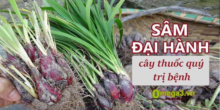 Combo 100 củ giống sâm đại hành- cây giống tỏi đỏ.