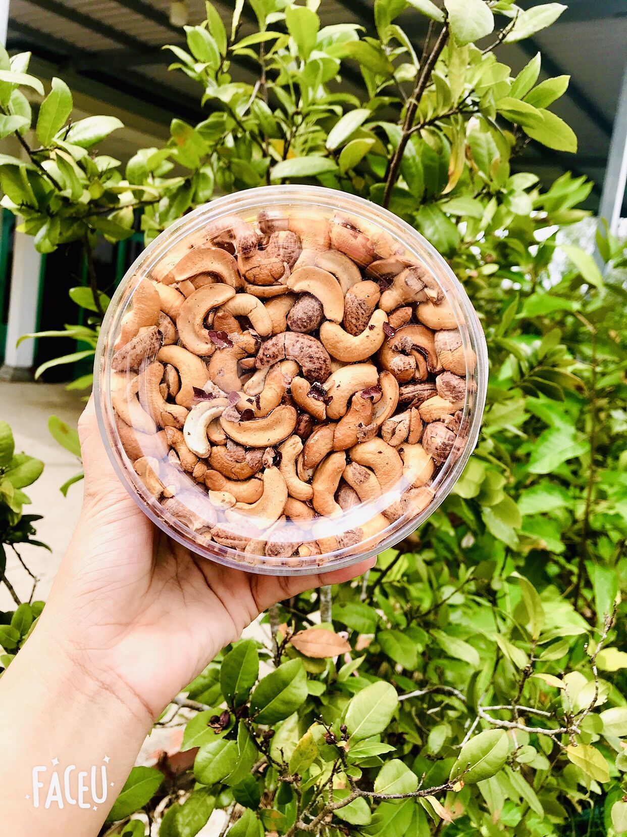 Hộp 500 gram hạt điều rang muối bể đôi có vỏ lụa chuẩn bình phước