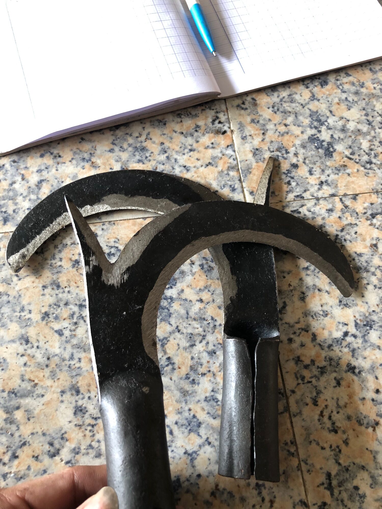 Cu Liêm đực dừa
