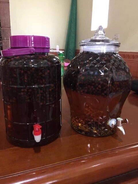 1kg quả sim rừng khô chuẩn