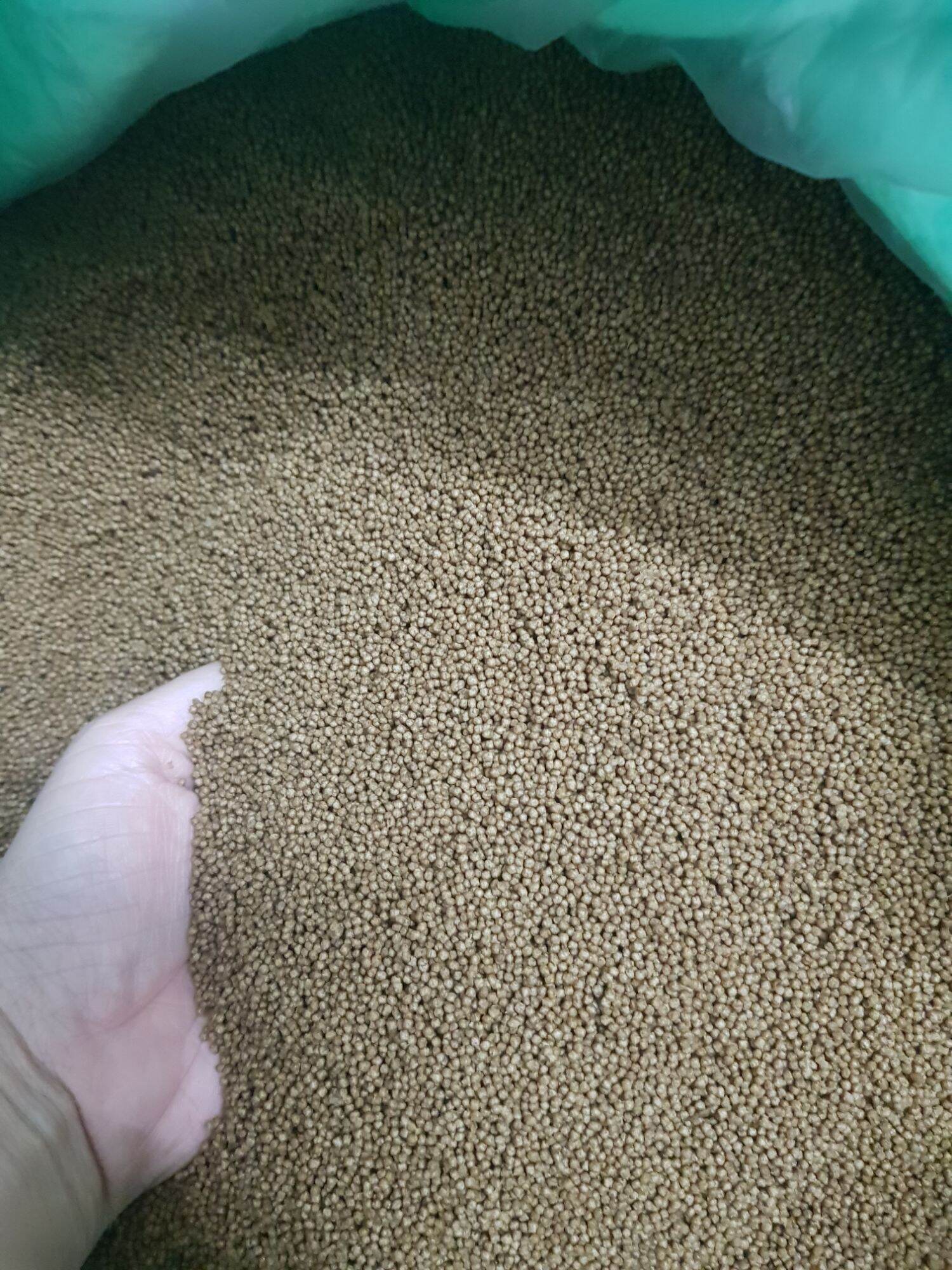 1kg cám cá hạt micro 0.8mm Koi Gold Fish dùng nuôi cá vàng, cá koi 45% độ đạm