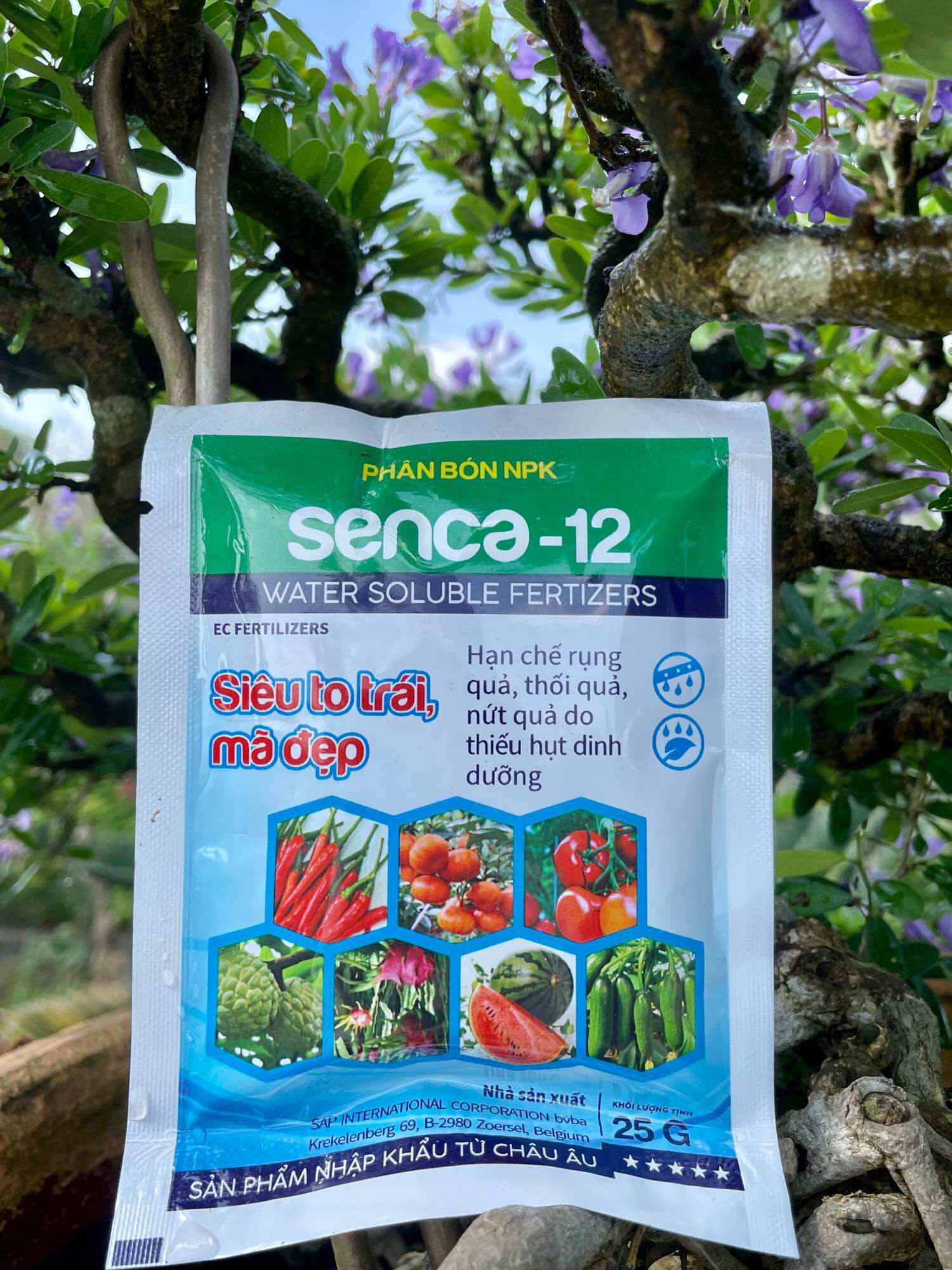 NPK 20.20.20 SIÊU TO TRÁI - ĐẸP TRÁI_ 25gr