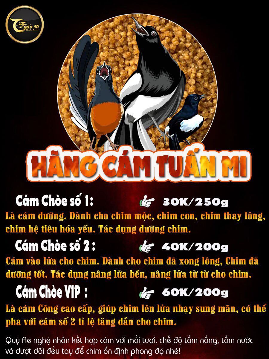 Cám Choè Than & Lửa VIP ( Tuấn Mi )
