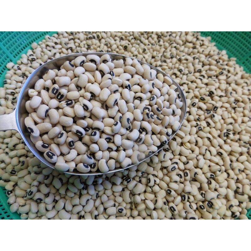 Đậu Trắng Bi/Đậu Mắt Cua Đăk Lăk