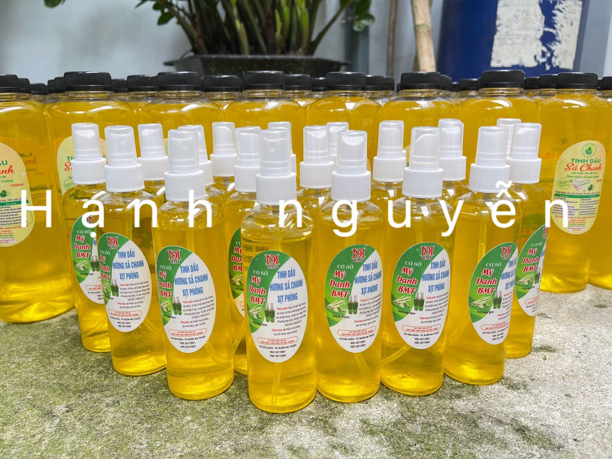 Tinh dầu sả chanh - Xịt phòng- Combo 2 chai