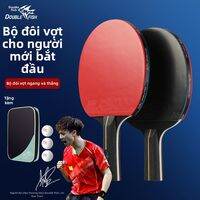 Double Fish | Vợt Bóng Bàn Chuyên Nghiệp Dễ Sử Dụng cho Người Mới