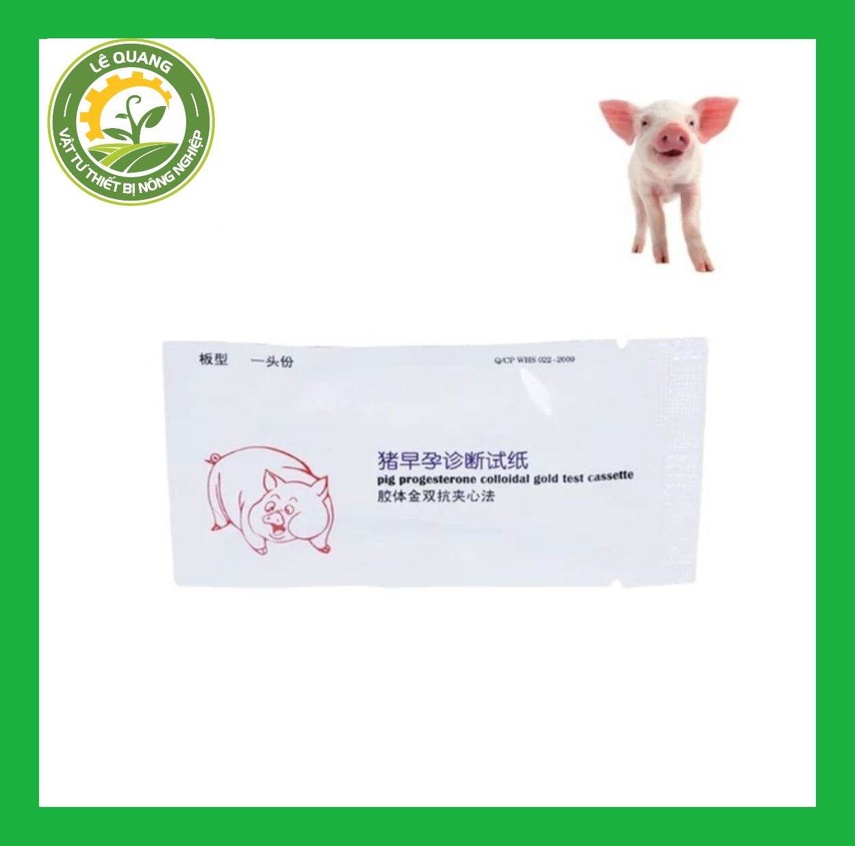 Que thử thai heo, lợn