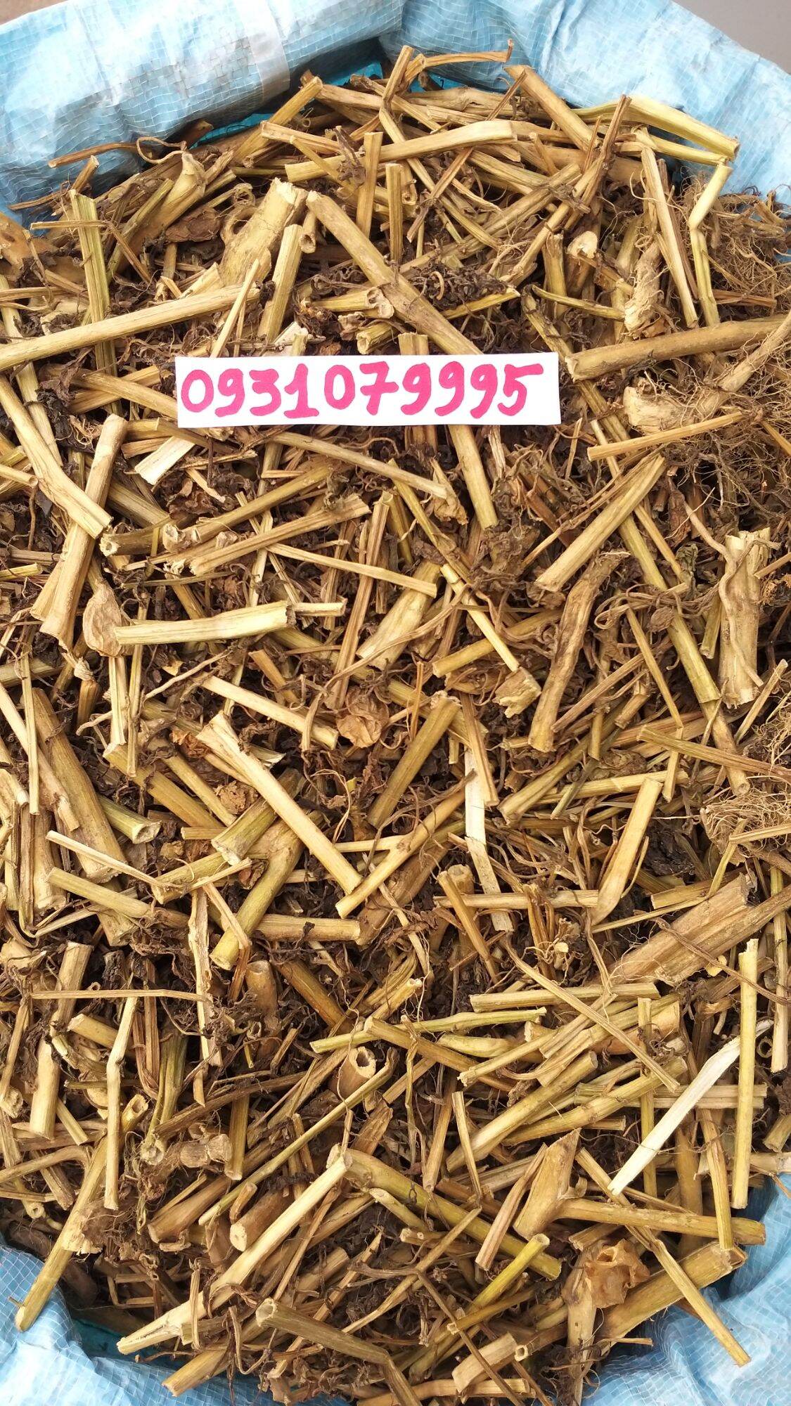 cây tầm bóp - cây thù lù phơi khô 1kg