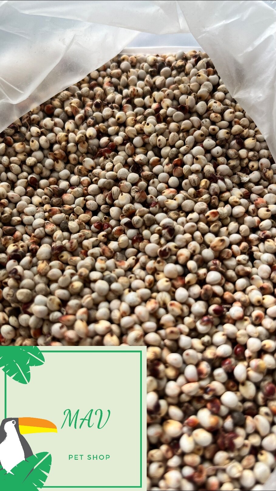 -500g-hạt bobo trắng dành cho vẹt, cu gáy, vẹt hồng,hamster, chim cảnh, gà đá, ....