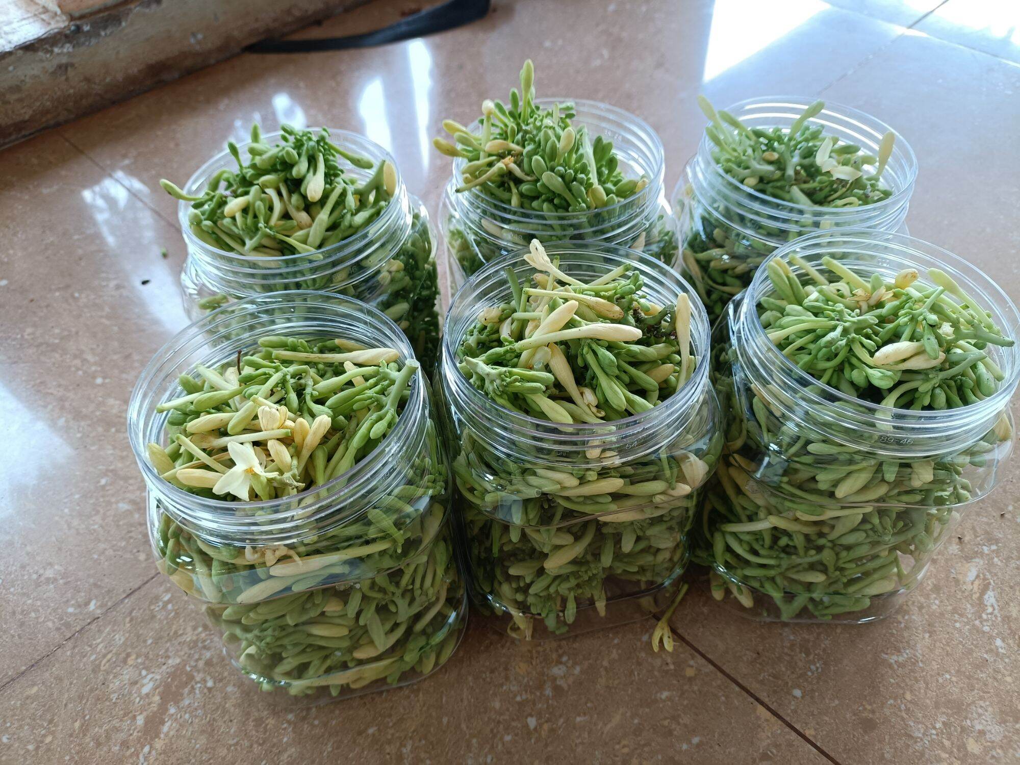 MẬT ONG NGÂM HOA ĐU ĐỦ ĐỰC TƯƠI 1kg