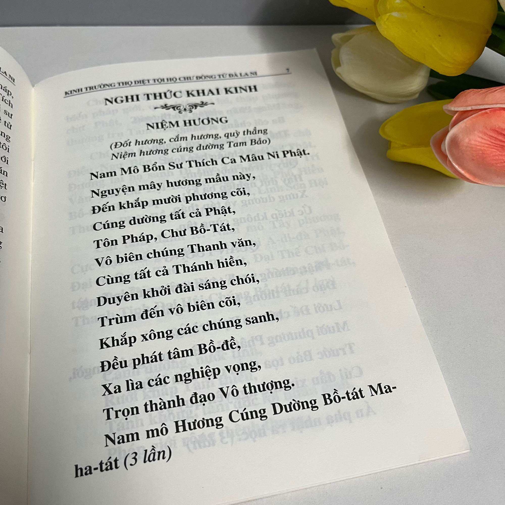Kinh Trường Thọ Diệt Tội
