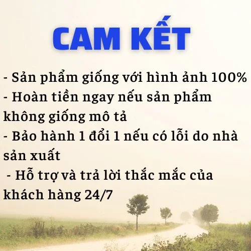 ĐĨA XOAY EO TẬP THỂ DỤC XOAY 360°
