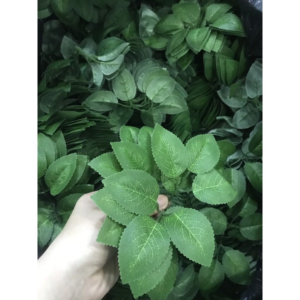 Lá hoa hồng vân loại đẹp, bịch 100g