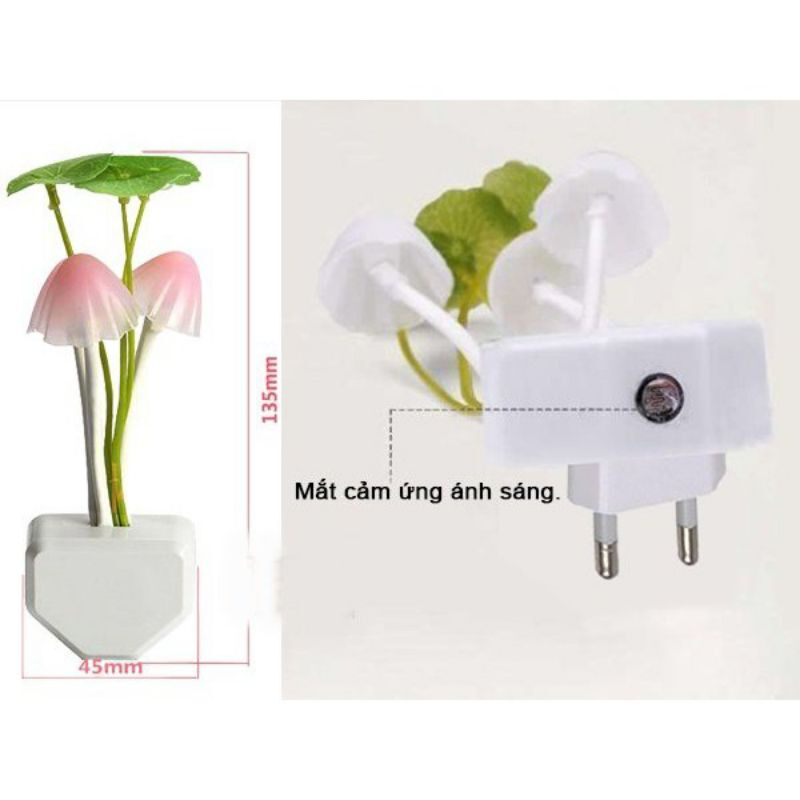 Đèn ngủ nấm cảm ứng