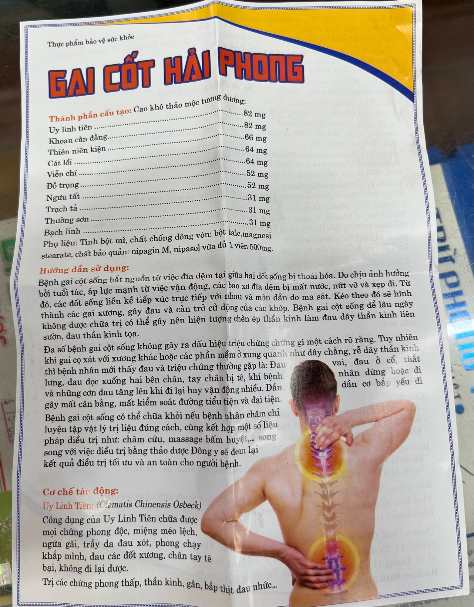 GAI CỐT HẢI PHONG - XƯƠNG KHỚP