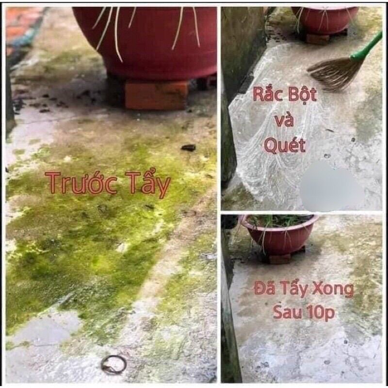 Chất tẩy sạch rong rêu Hàng chính Hãng diệt rong rêu ở sân gạch- tường ...