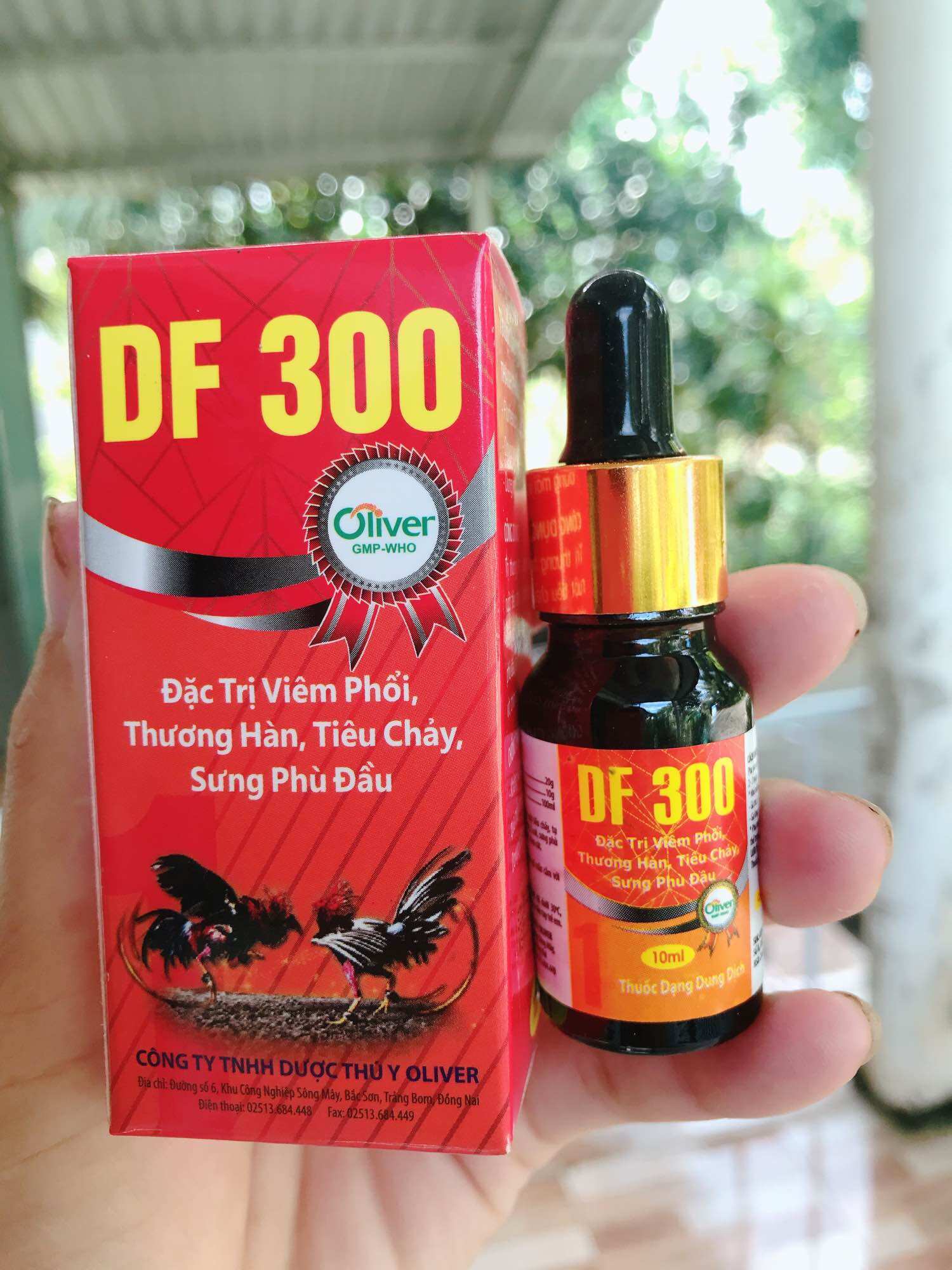 DF 300 10ml chuyên viêm phổi, thương hàn, tiêu chảy, sưng phù đầu trên gà đá