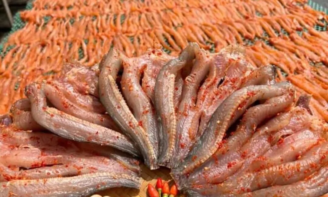 Khô cá lóc 500gr loại 10_12c kg