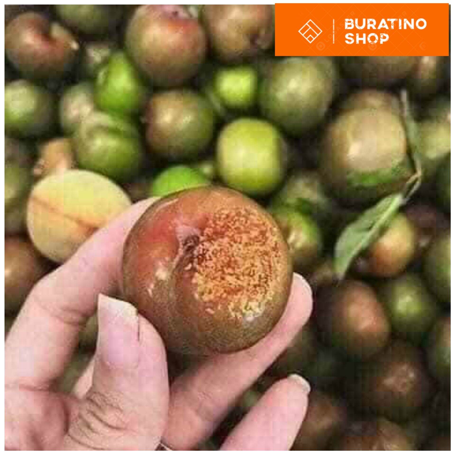 [HCM] Muối ớt chua cay Hảo Hảo (bịch 500gr)