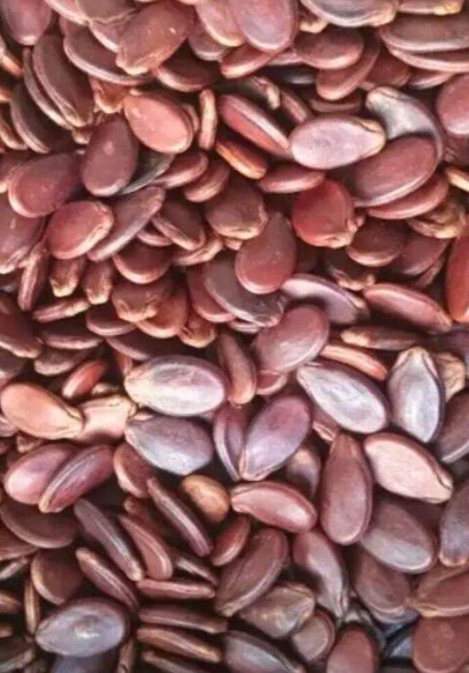 hạt dưa không tẩm màu Tứ Hưng 500g