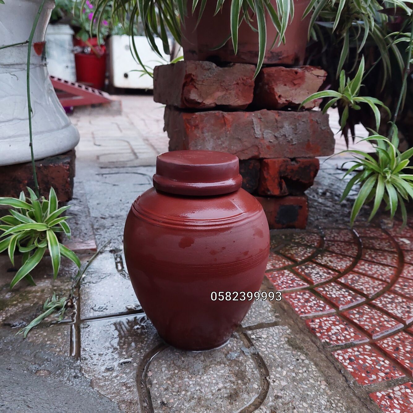 Vò sành cao cấp Bát Tràng 1L (Gốm sứ Bách Việt)