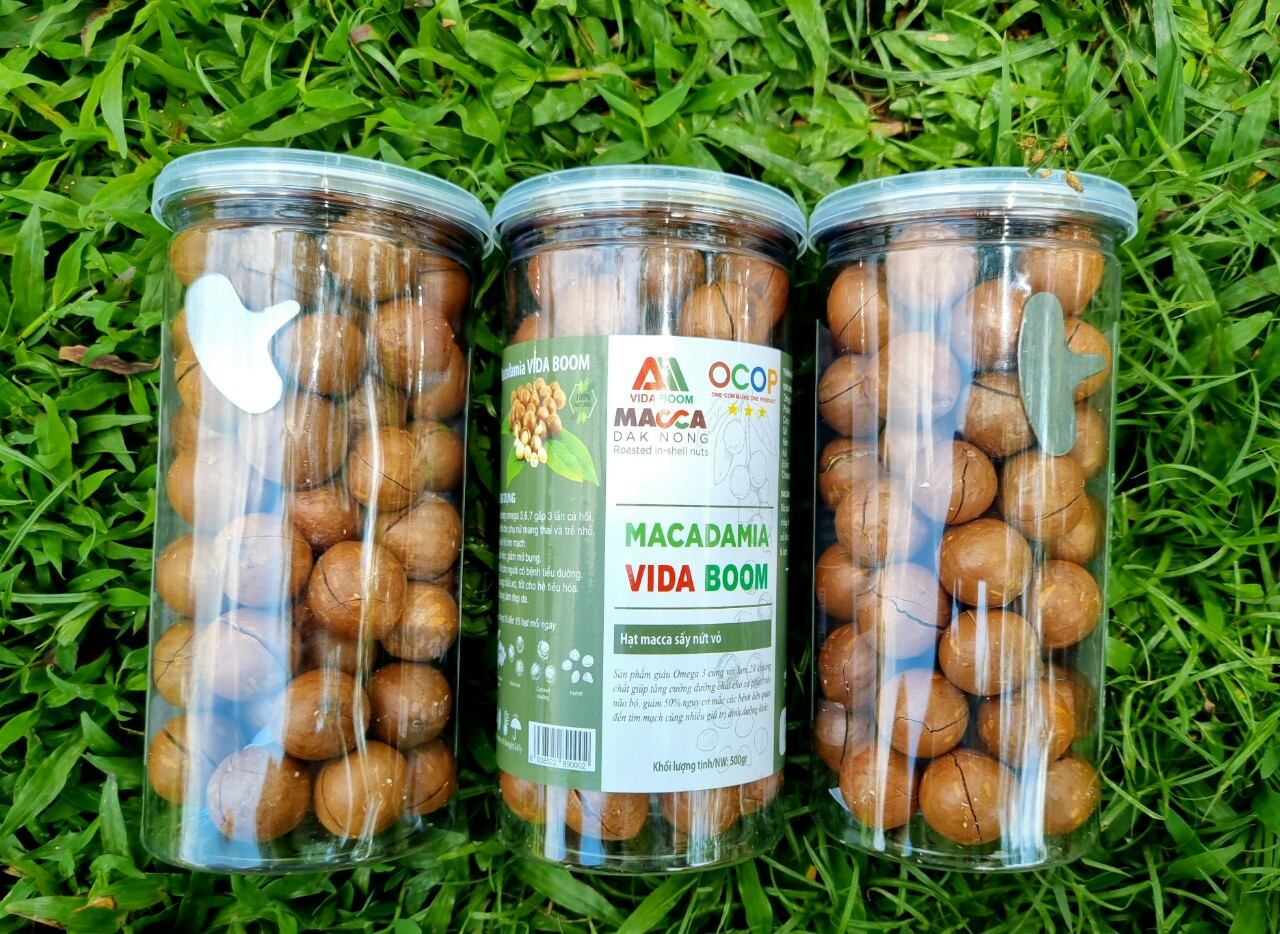 Hạt macca Đắk Nông hộp 500g
