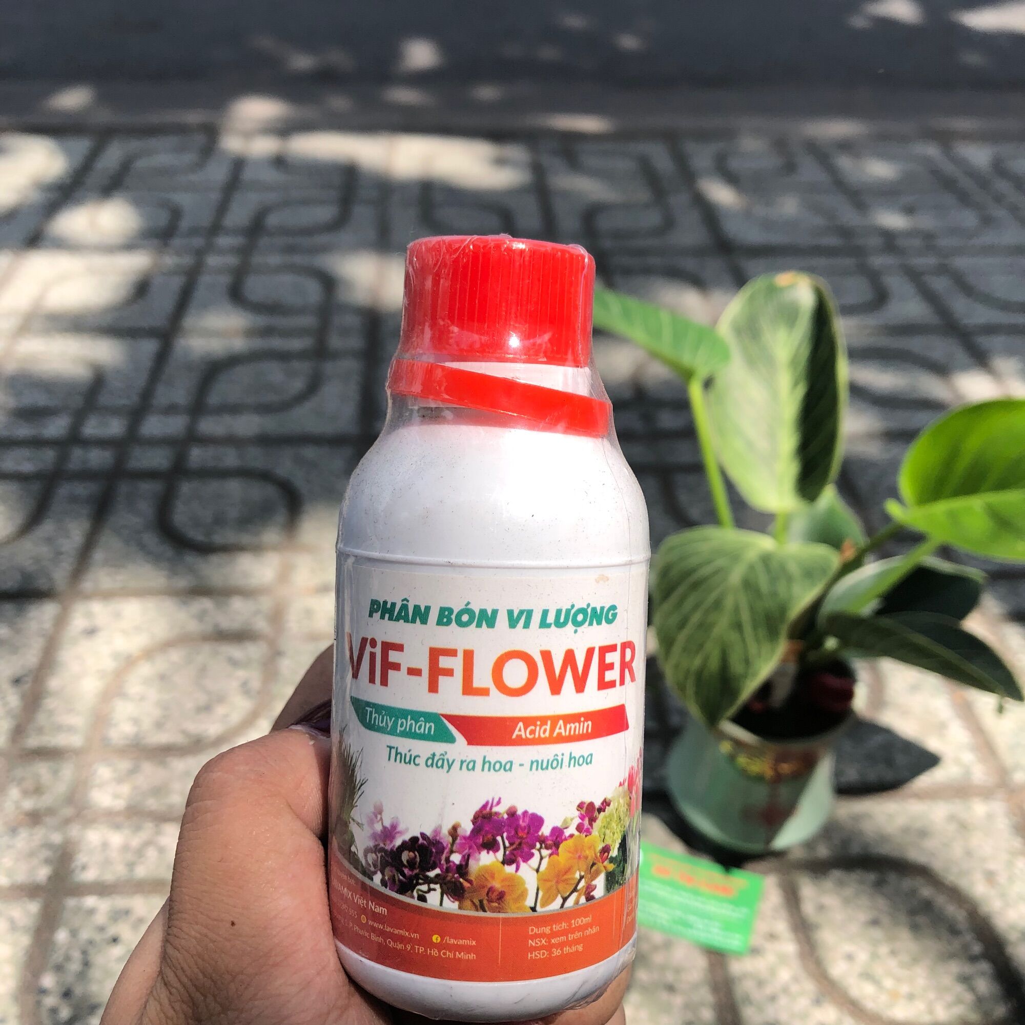 Phân bón vi lượng acid amin vif-flower thúc đẩy ra hoa, nuôi hoa chai 100ml