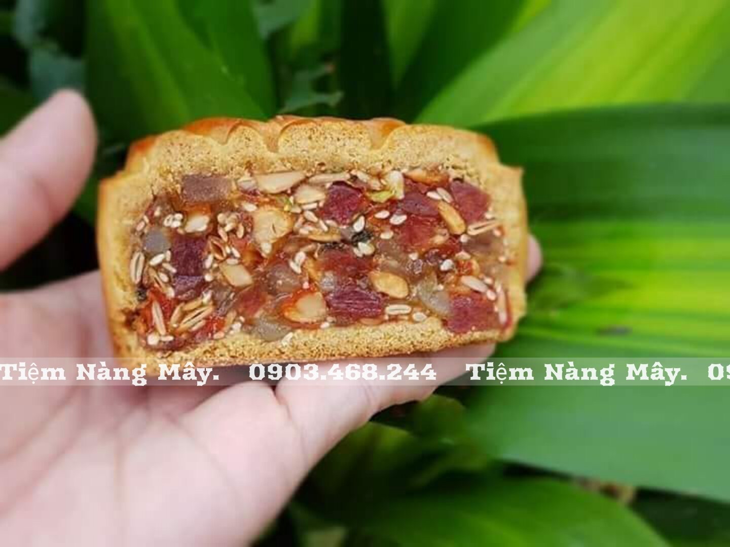 Nhân thập cẩm trung thu