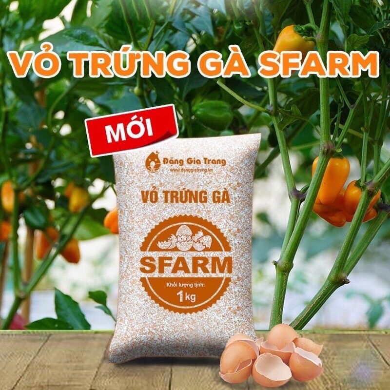 Vỏ trứng gà đã qua xử lý Sfarm Đặng Gia Trang, tốt cho mọi loại hoa, cây cảnh và rau màu, trộn đất hoặc bón trực tiếp. (Gói 1kg)