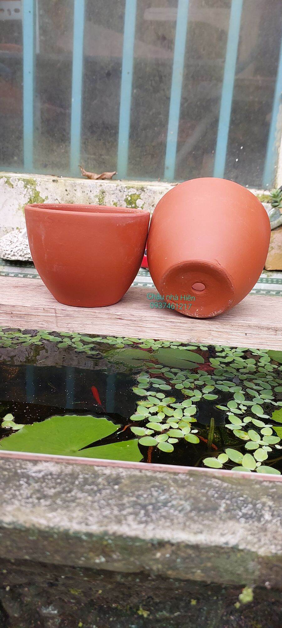 Chậu đất nung Bình Dương hình trứng m10 x c8