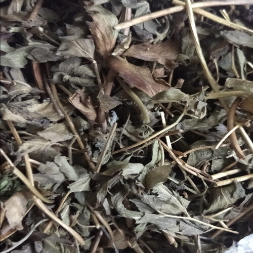 Bòng Bong (Hải Kim Sa) Khô lz1