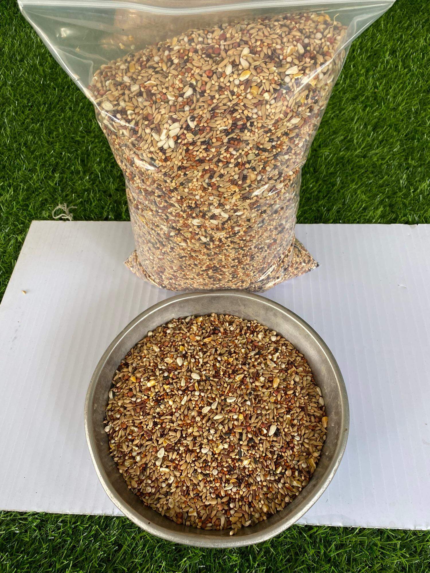 1kg hạt ngũ cốc cho chim cu gáy. Thức ăn dinh dưỡng chuyên dùng cho chim cu gáy