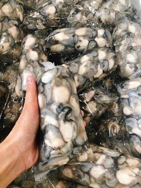 Shelled Milk Oyster 500g (Delivery in Ho Chi Minh City) Urgent Delivery