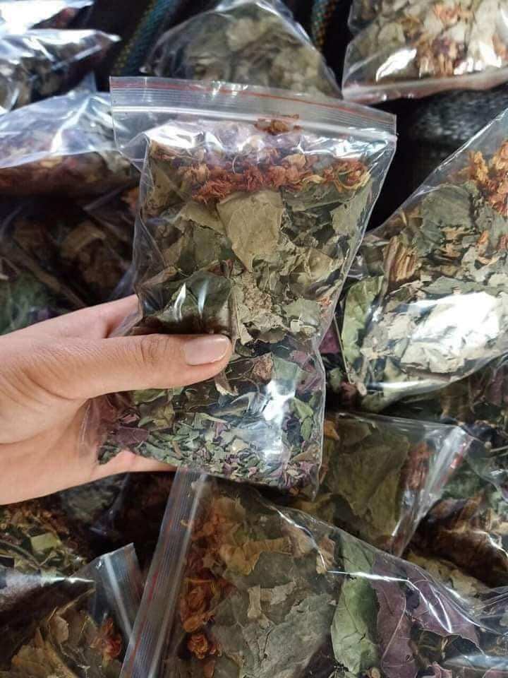 Lá Nam Giảm cân Cô Gái Núi