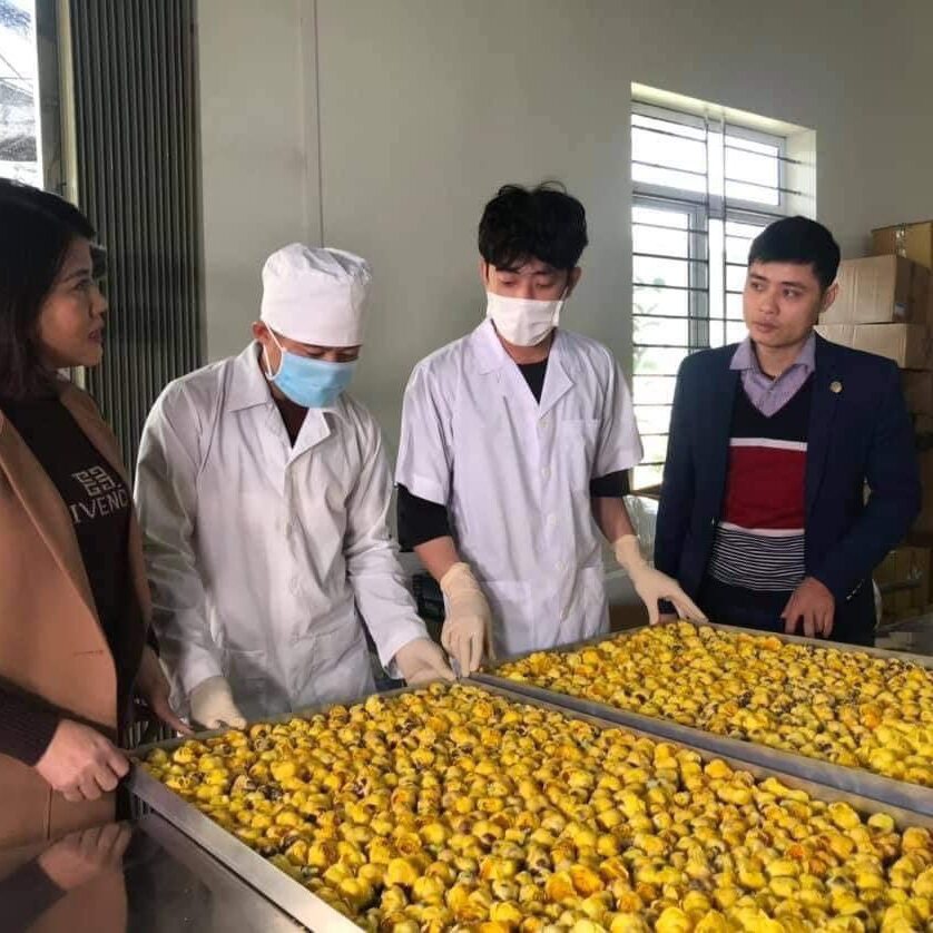Trà hoa vàng (hộp 100gr)