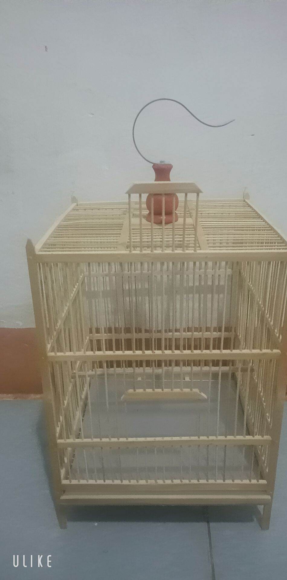 lồng chim chào mào