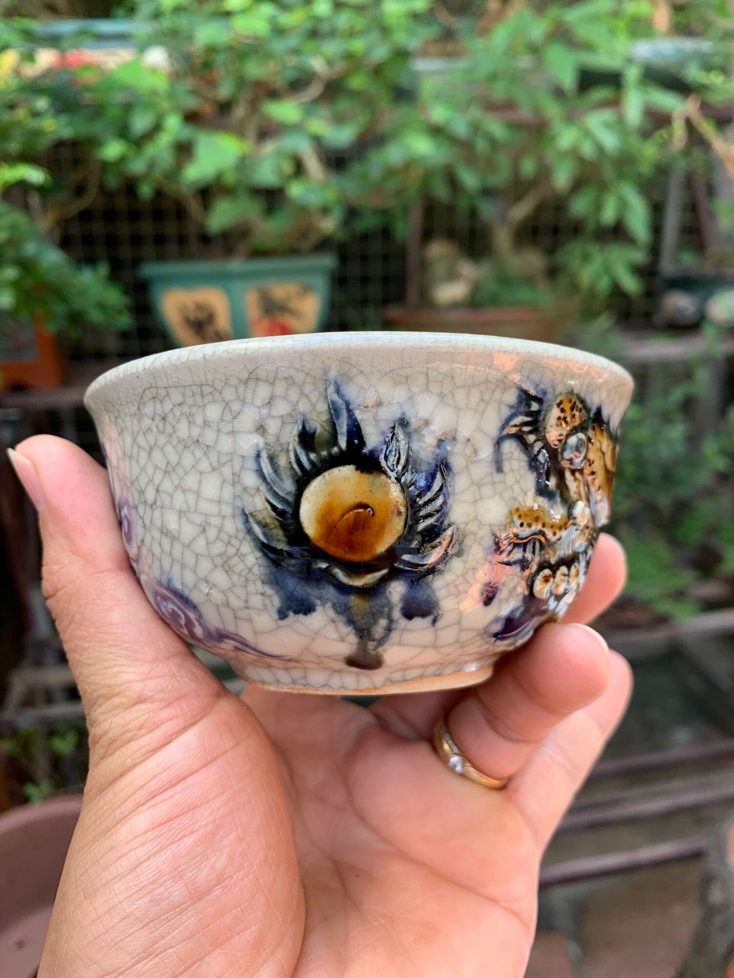 Chậu trồng cây bonsai mini
