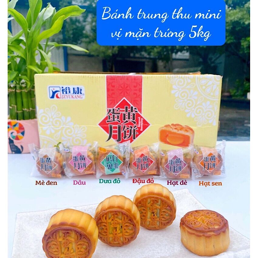 Bánh nướng Trung Thu mini mix vị chay, mặn, ngọt đều dùng được vị : mè đen, dâu, dưa đỏ, đậu đỏ, hạt dẻ, hạt sen siêu ngon 34g/cái