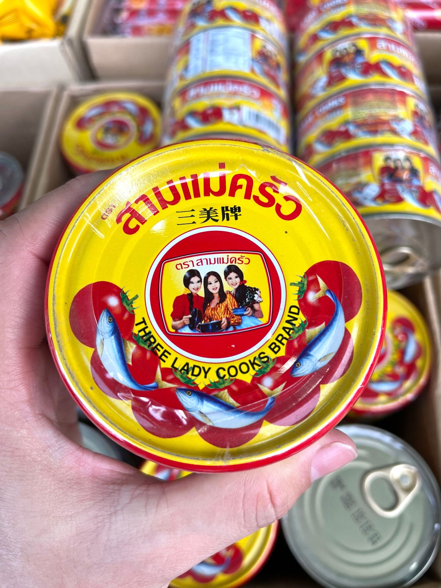 CÁ MÒI 3 CÔ GÁI (THÁI LAN)