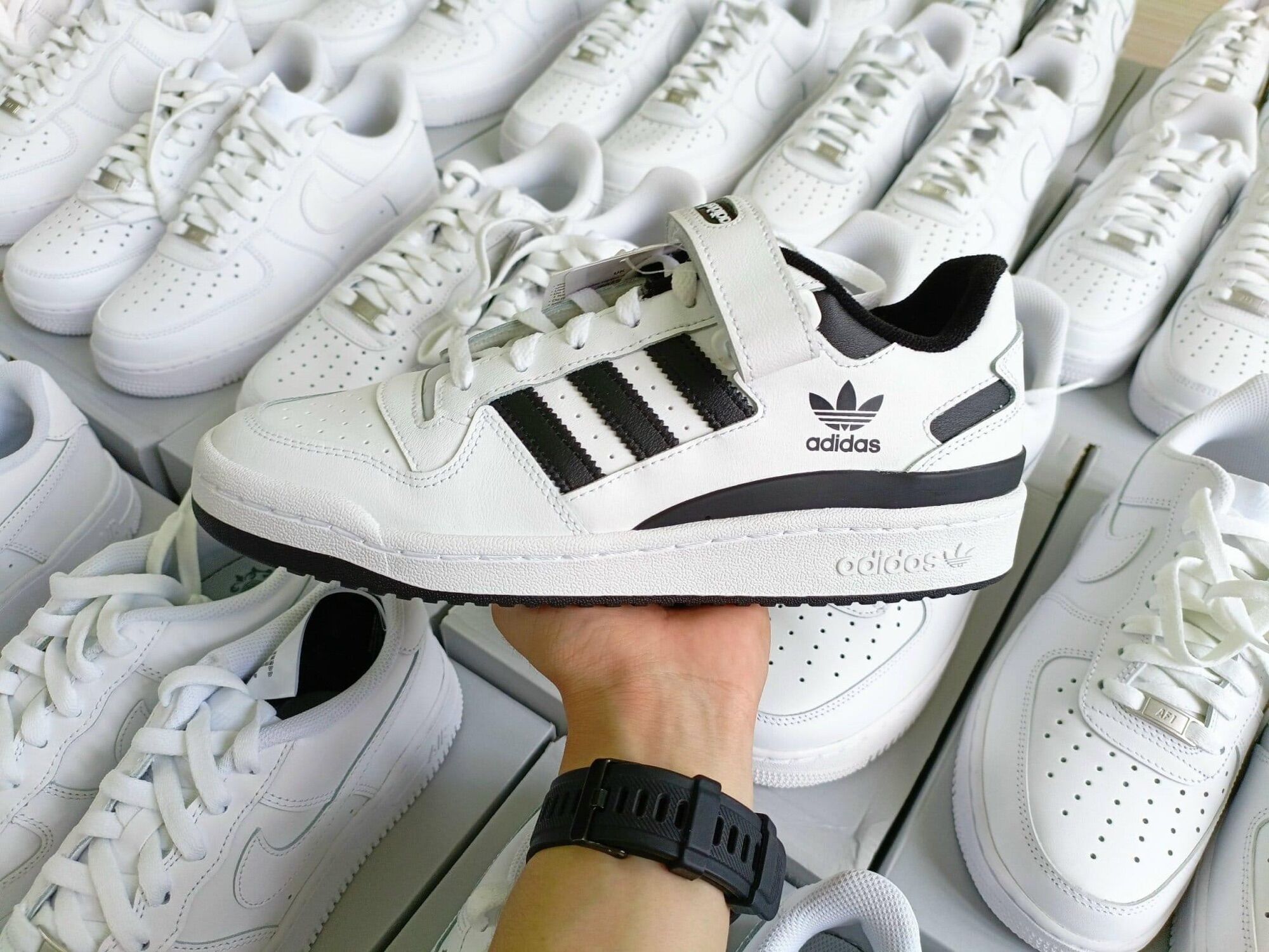 Giày Adidas Forum Low💯