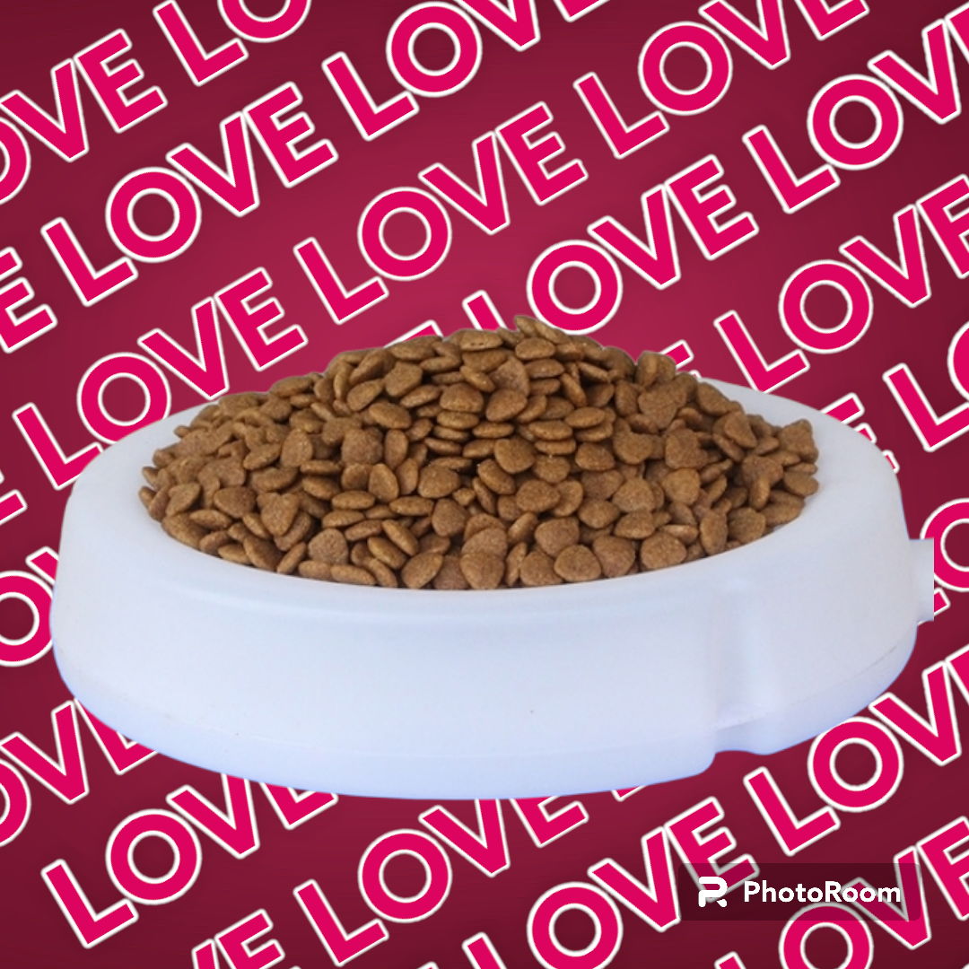 Thức Ăn Hạt Cho Mèo Con Catsrang Kitten Gói 1.5Kg