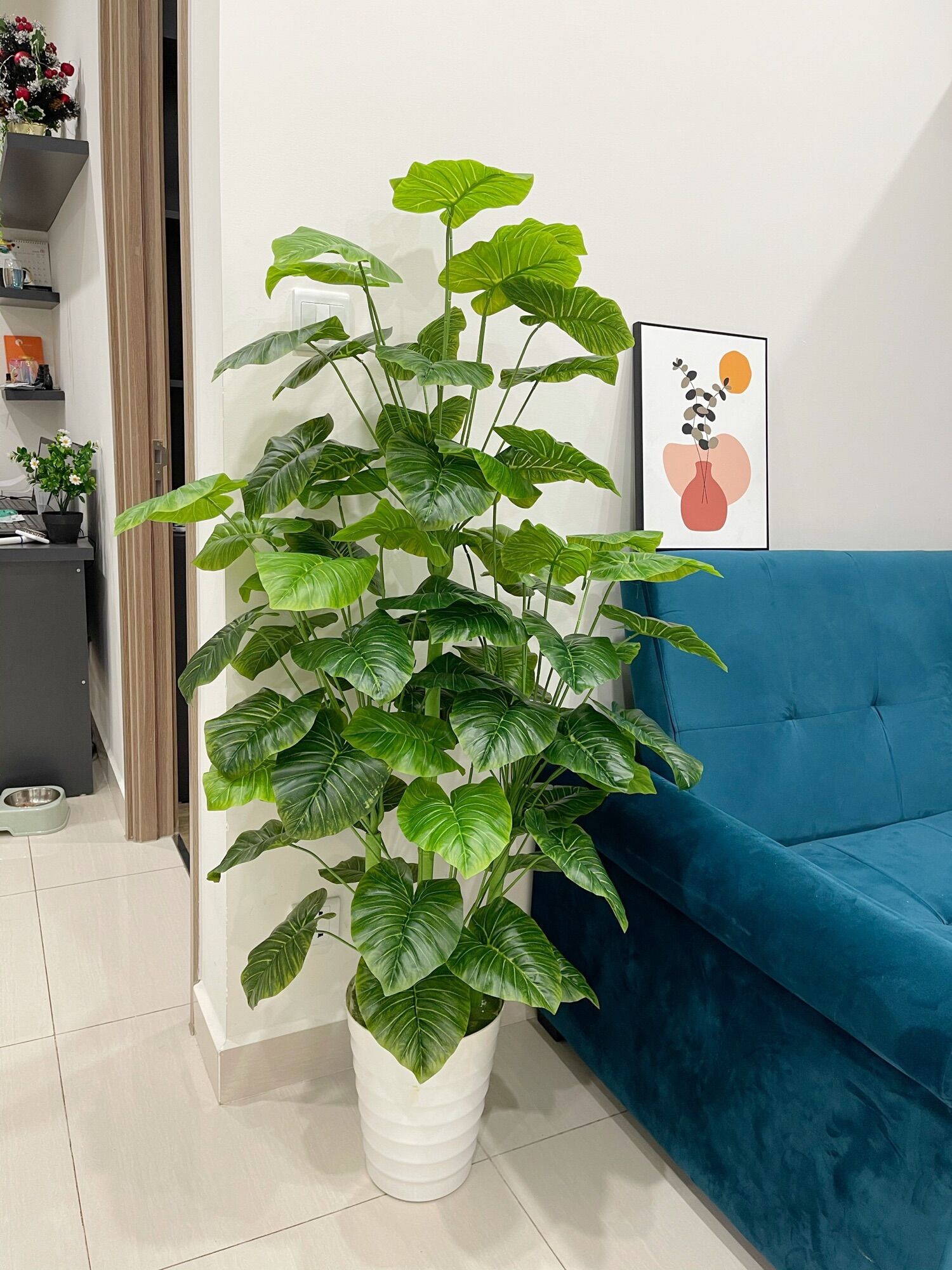 Cây trầu bà mẫu mới - cây trầu bà giả 1m5
