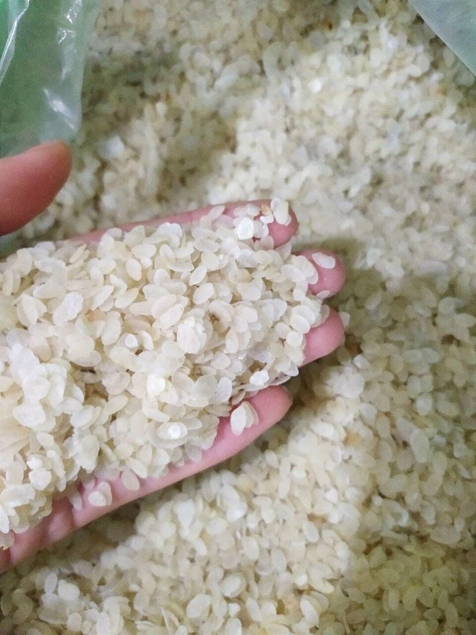 cốm dẹt trắng tây bắc