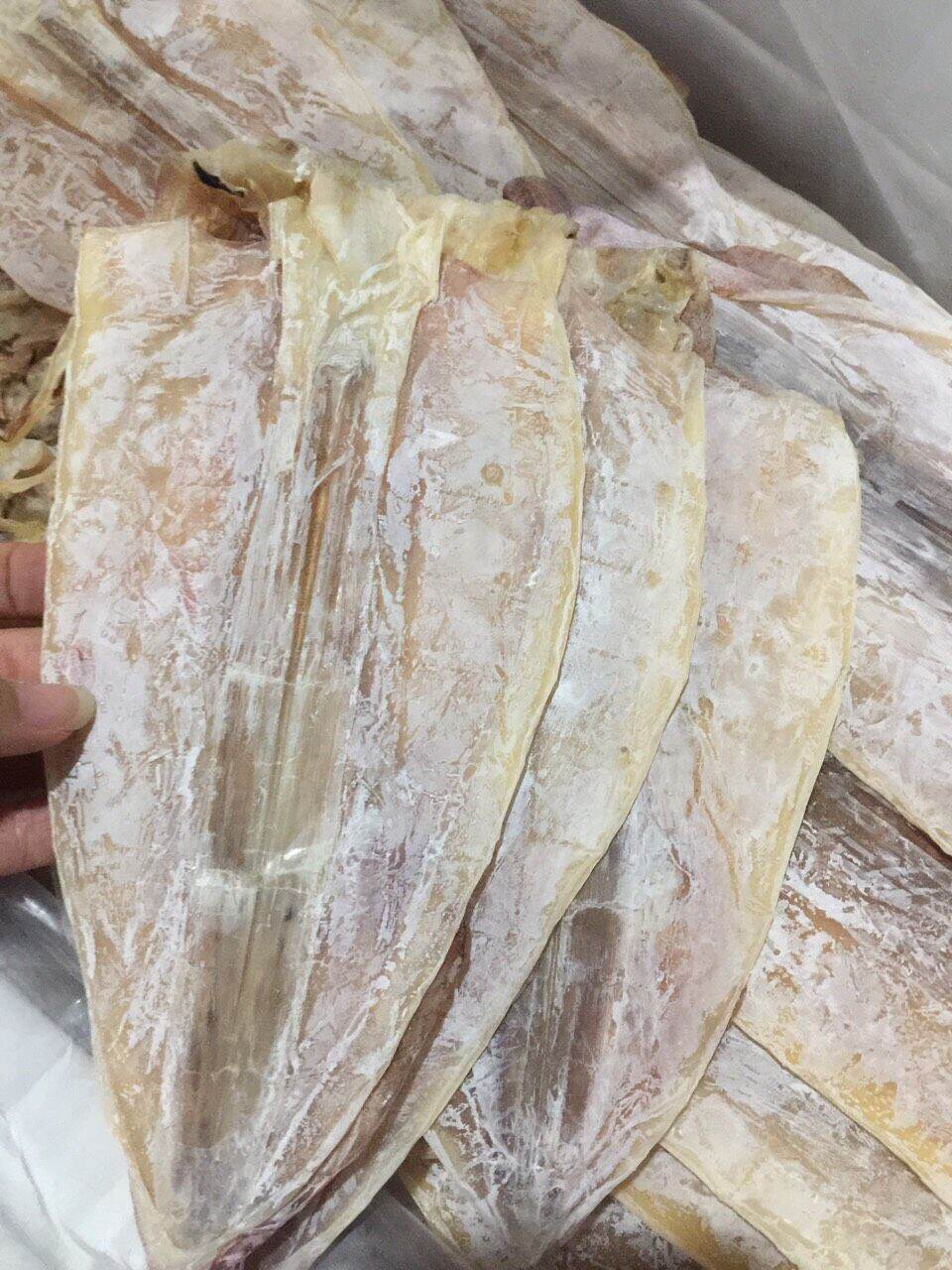 Mực câu size 13_15 con
